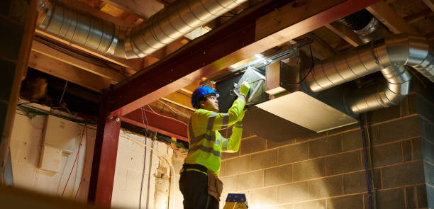 Air Duct Mold Removal in Polo, IL